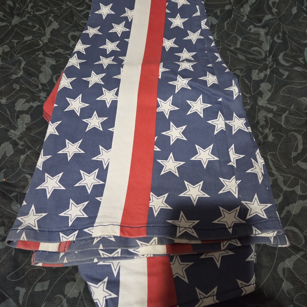 Free People Red and Blue Star Flare Jeans - Picture 3 of 5